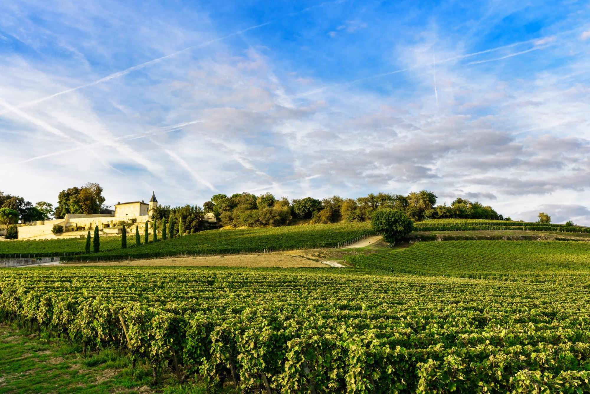Clos 1906 Saint-Emilion Ngoại thất bức ảnh